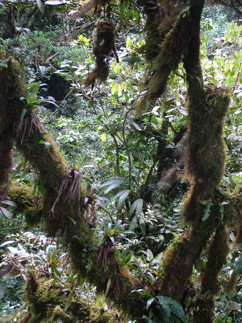 DSCF8667.JPG