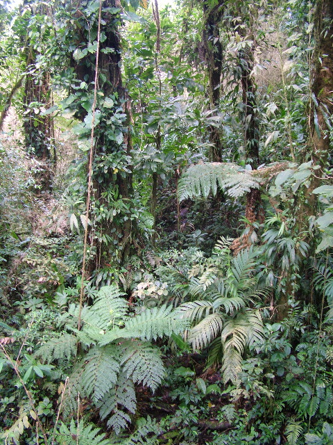DSCF8668.JPG