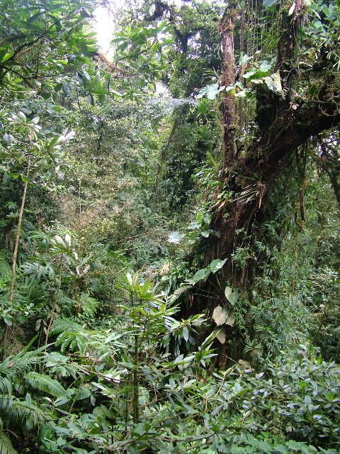 DSCF8669.JPG