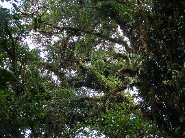 DSCF8670.JPG