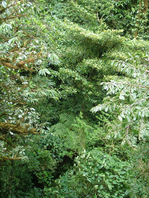 DSCF8672.JPG
