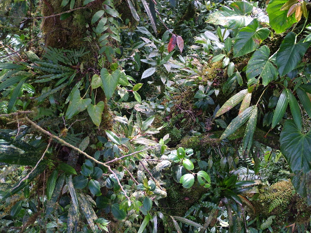 DSCF8674.JPG