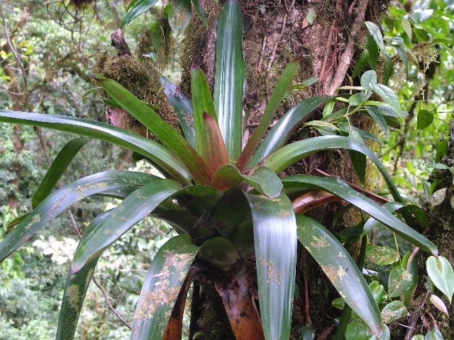 DSCF8676.JPG