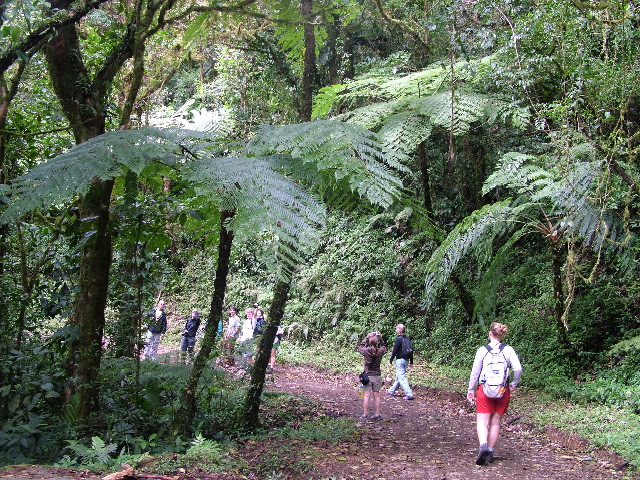 DSCF8678.JPG