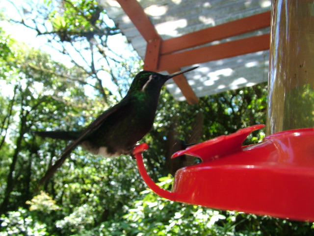 DSCF8681.JPG