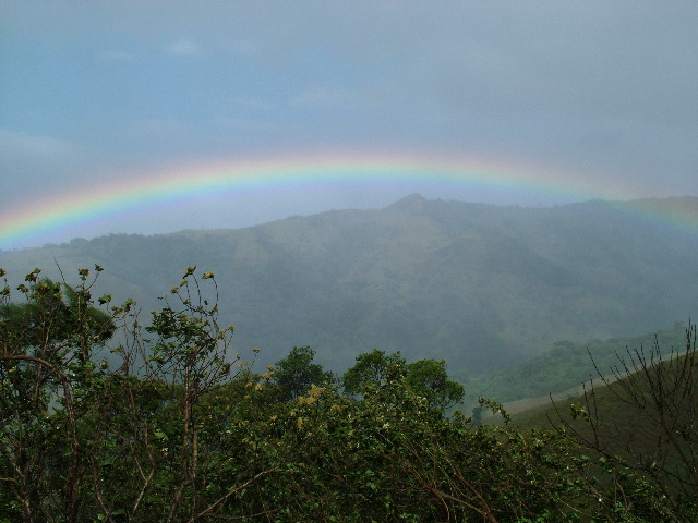 DSCF8683.JPG