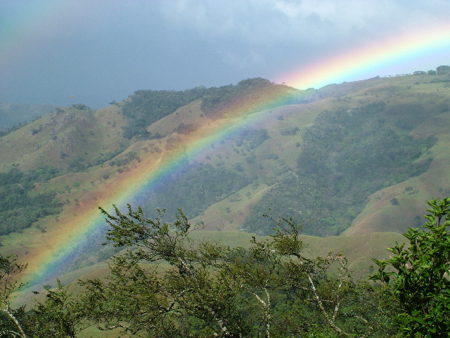 DSCF8685.JPG