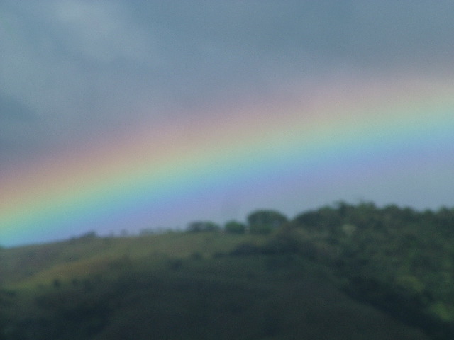 DSCF8686.JPG