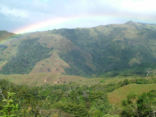DSCF8687.JPG