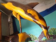 DSCF8689.JPG