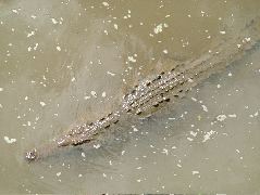 DSCF8691.JPG