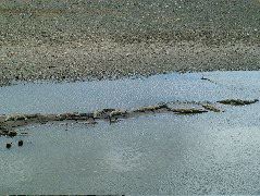 DSCF8694.JPG