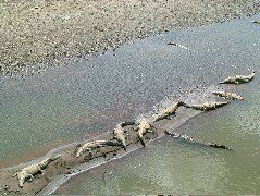 DSCF8695.JPG