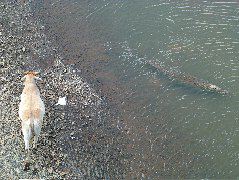 DSCF8700.JPG