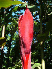DSCF8703.JPG