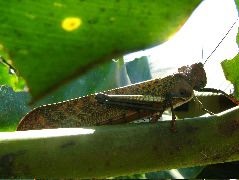 DSCF8705.JPG