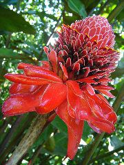 DSCF8706.JPG