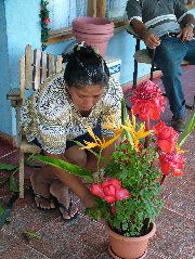 DSCF8707.JPG
