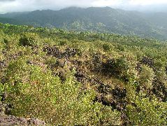 DSCF8601.JPG