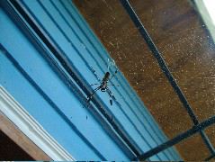 DSCF8711.JPG