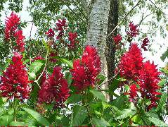 DSCF8712.JPG
