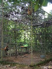 DSCF8719.JPG