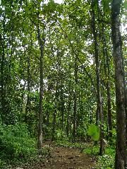 DSCF8722.JPG