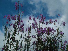 DSCF8735.JPG