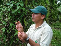 DSCF8738.JPG