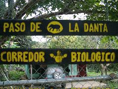 DSCF8745.JPG