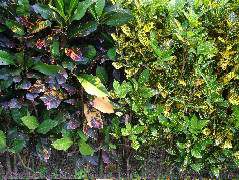 DSCF8748.JPG