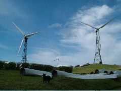 DSCF8605.JPG