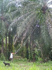 DSCF8750.JPG