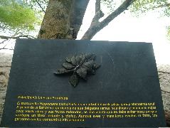 DSCF8751.JPG