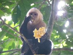DSCF8753.JPG