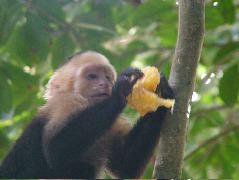 DSCF8754.JPG
