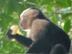 DSCF8755.JPG