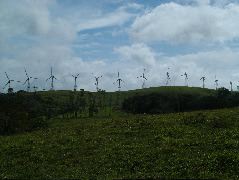 DSCF8606.JPG