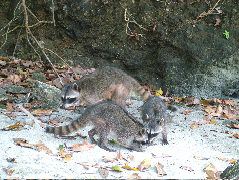 DSCF8760.JPG