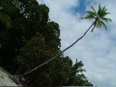 DSCF8765.JPG