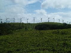 DSCF8607.JPG