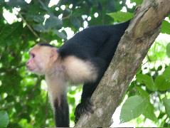 DSCF8770.JPG