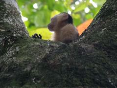 DSCF8772.JPG
