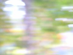 DSCF8773.JPG