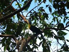 DSCF8781.JPG