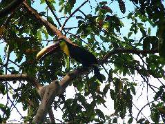 DSCF8782.JPG