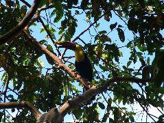 DSCF8784.JPG