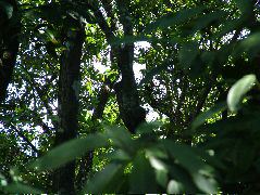 DSCF8791.JPG