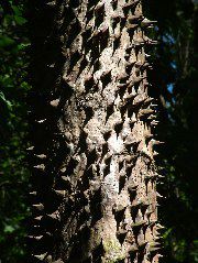 DSCF8793.JPG