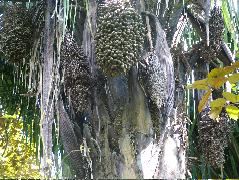 DSCF8794.JPG